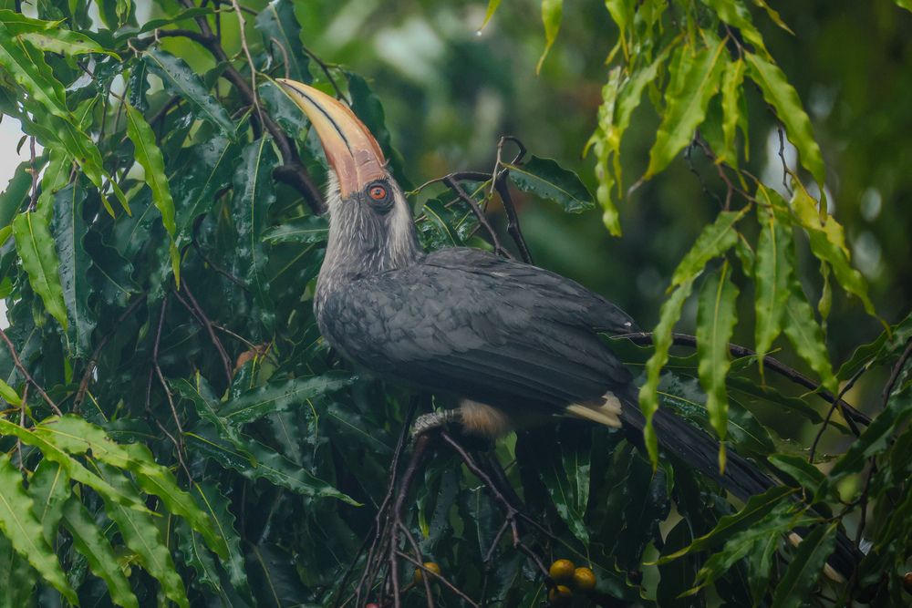 Photograph by Shalini Jain