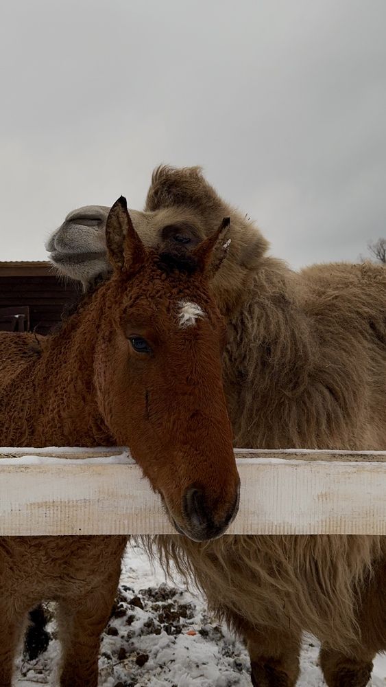 Photograph by Лилия Нуриева