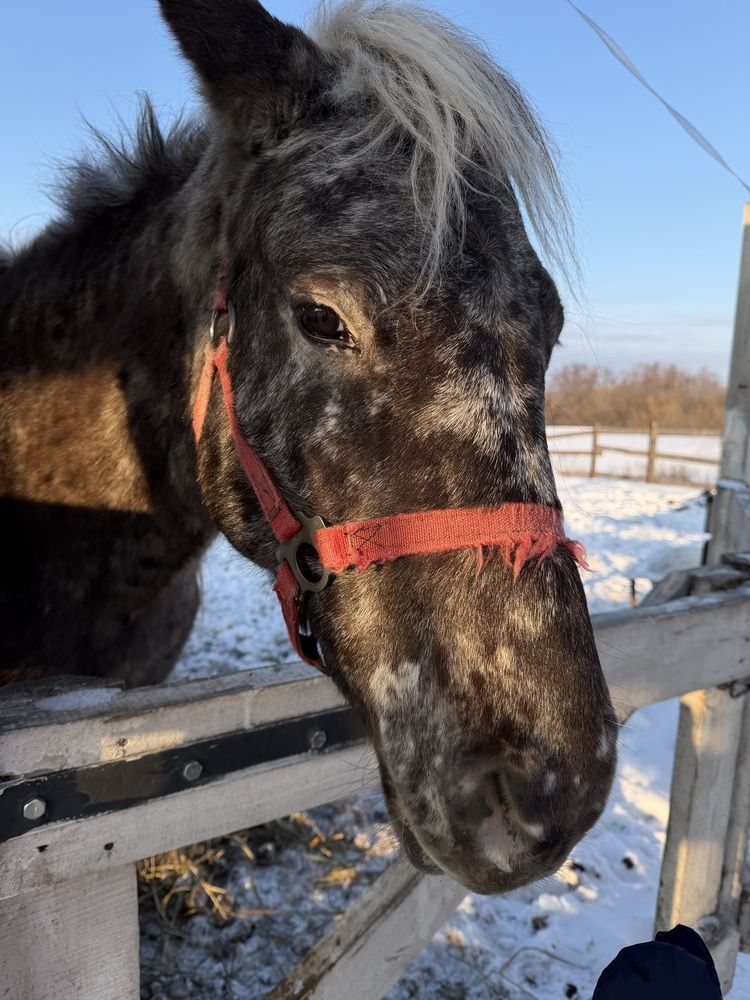 Photograph by Лилия Нуриева