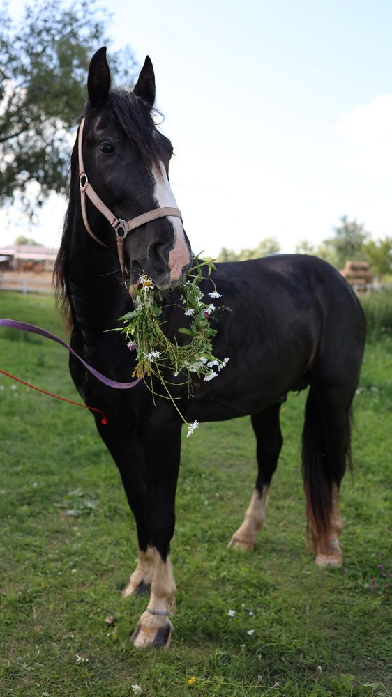 Photograph by Лилия Нуриева