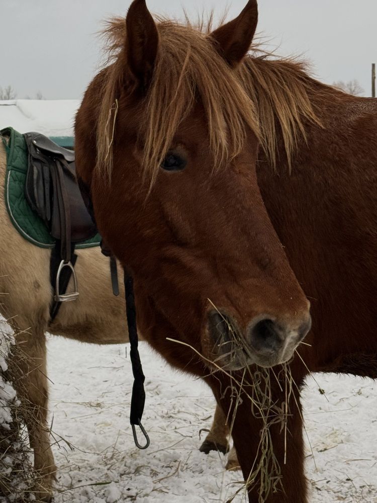 Photograph by Лилия Нуриева