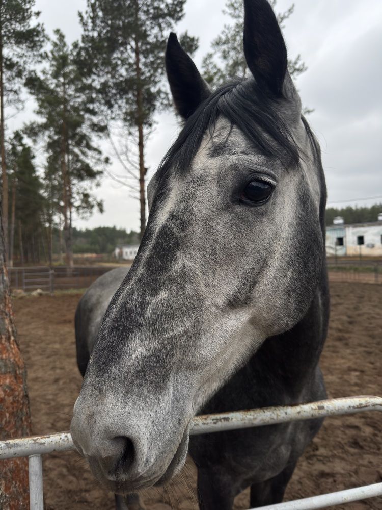 Photograph by Лилия Нуриева