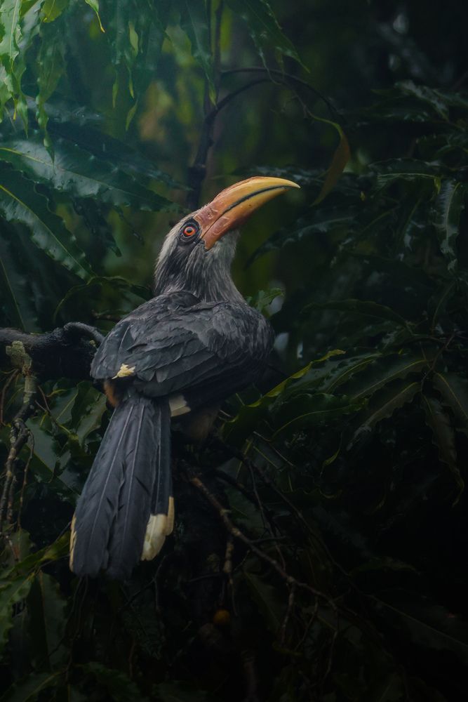 Photograph by Shalini Jain