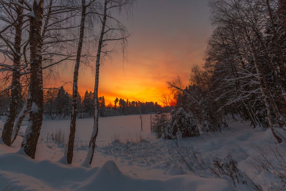 Photograph by Литвинов Александр