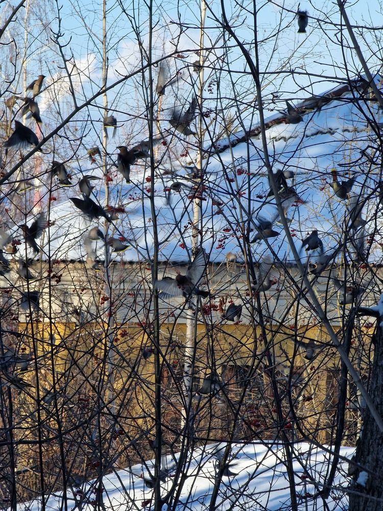 Photograph by Алексей Ворочев