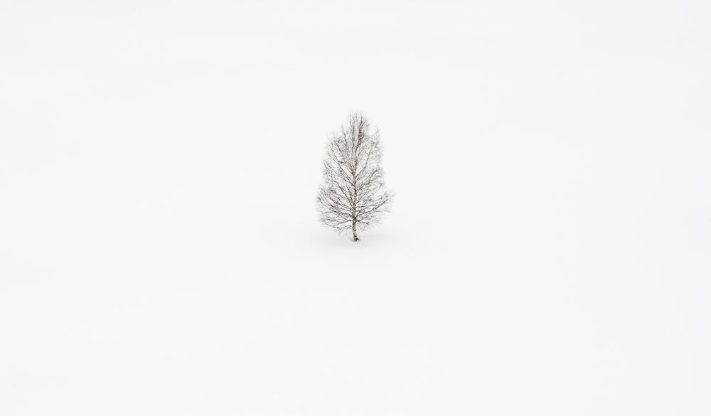 Photograph by Альварис Сукманюк