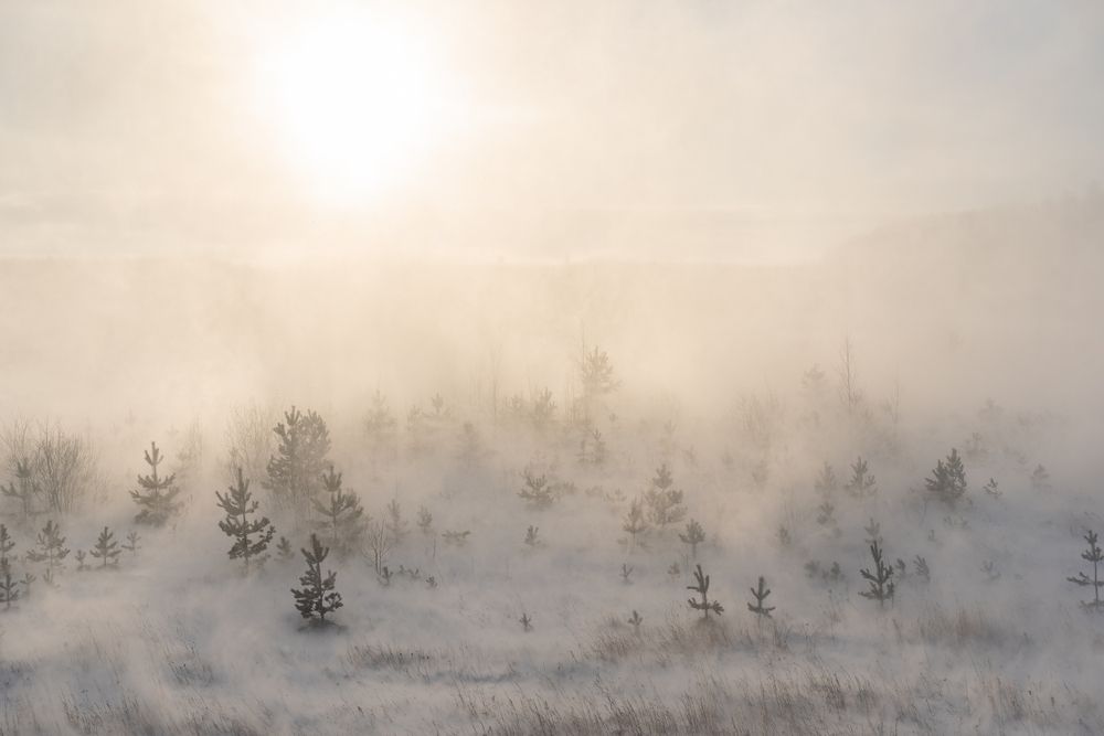 Photograph by Альварис Сукманюк
