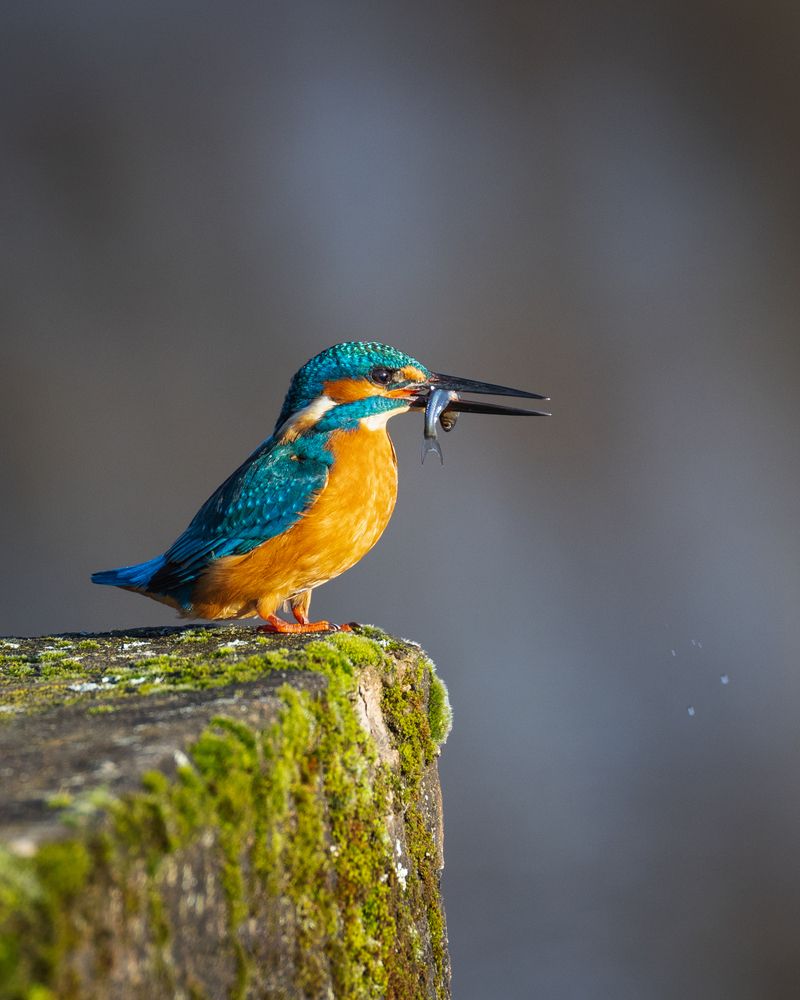 Photograph by Eduard Zhuravlev