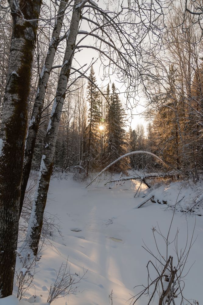 Photograph by Альварис Сукманюк