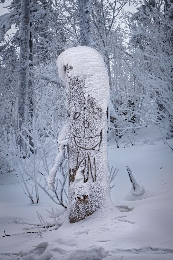 Фотография автора Ольга Мусиенко