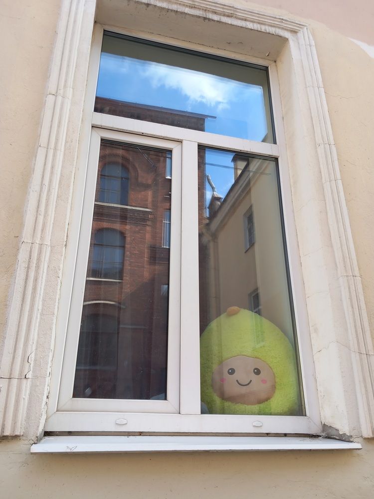 Фотография автора Анастасия