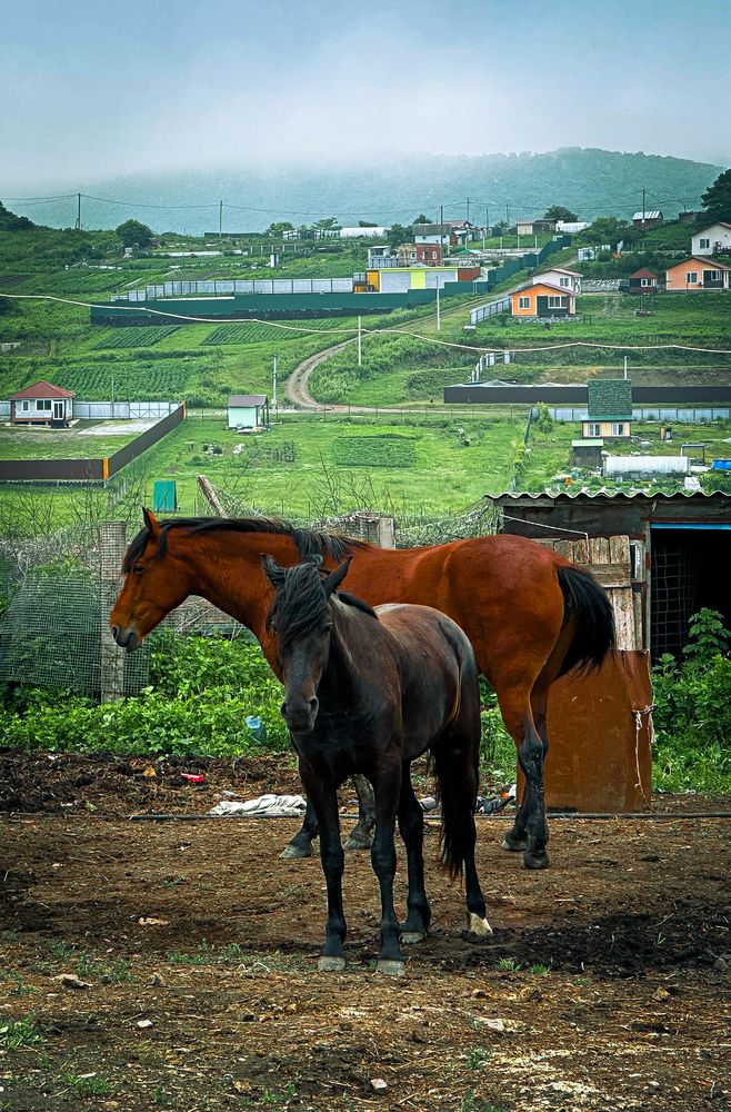 Photograph by Ирина