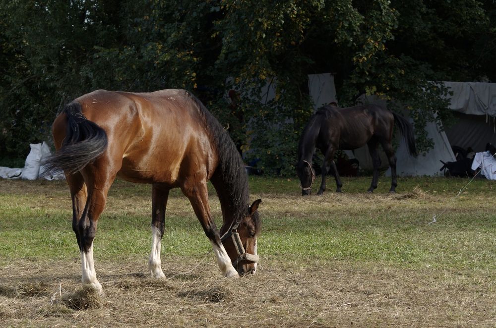 Photograph by Кирилл Корякин