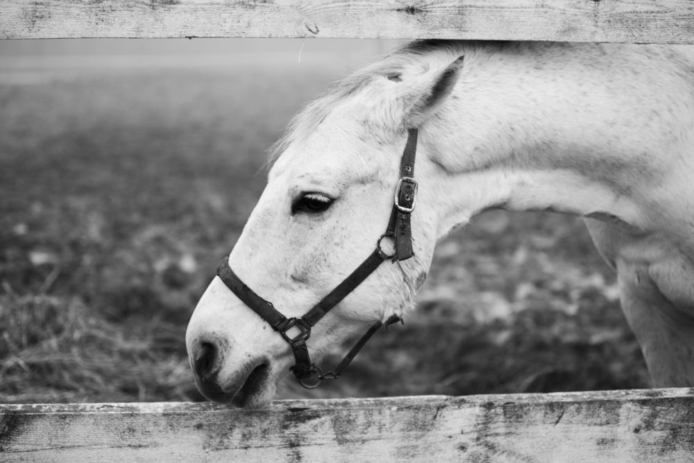 Фотография автора Анастасия Лившиц