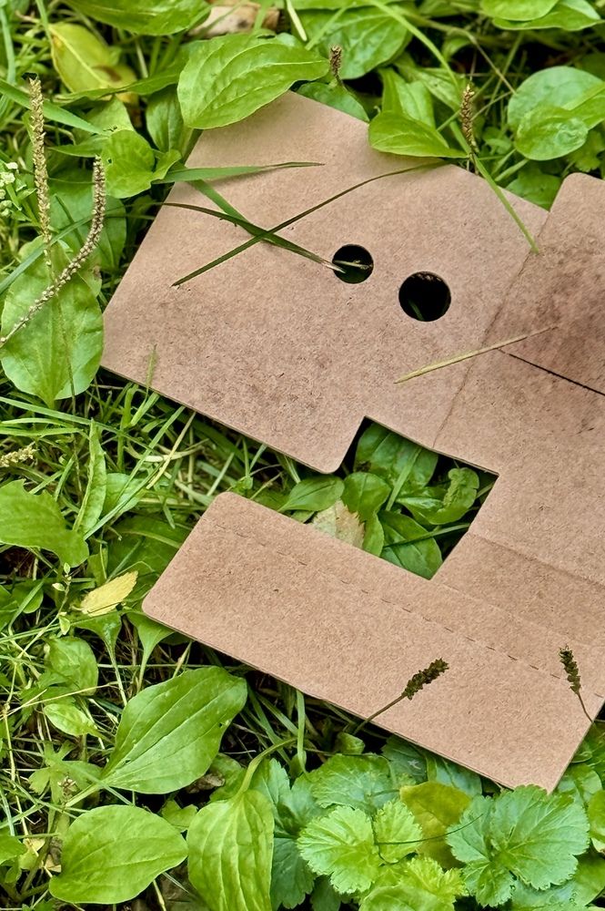 Photograph by Марина Мишутина