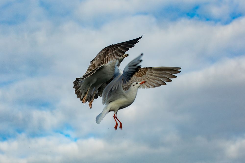 Photograph by Анастасия Лившиц