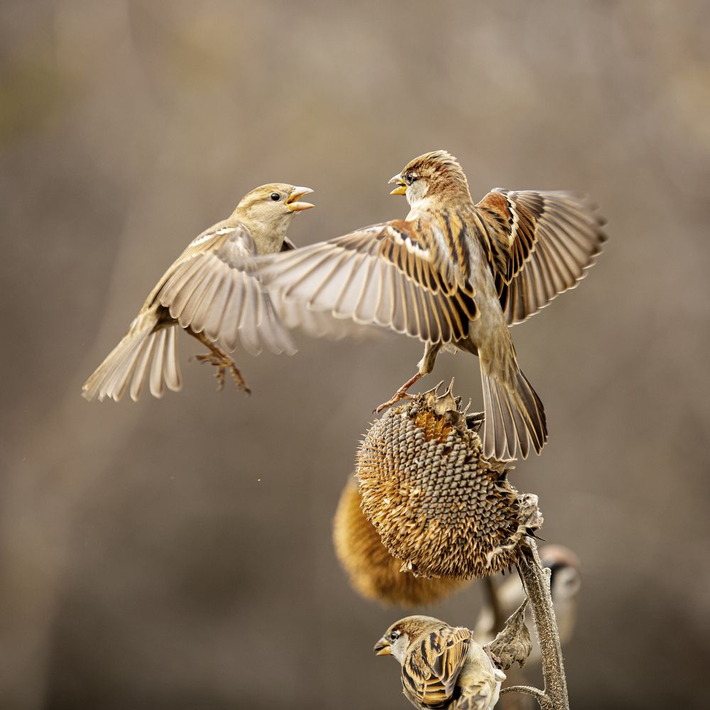 Photograph by Валерий Черняк