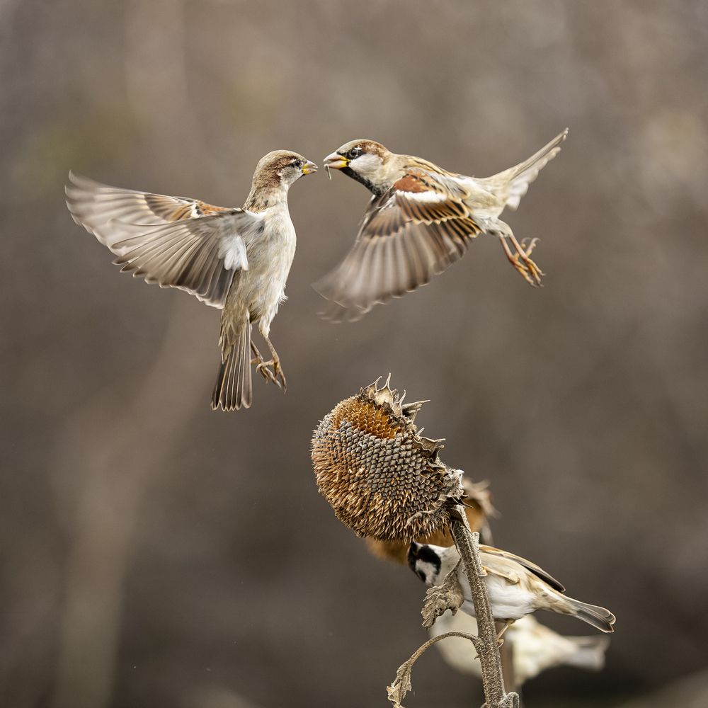 Photograph by Валерий Черняк
