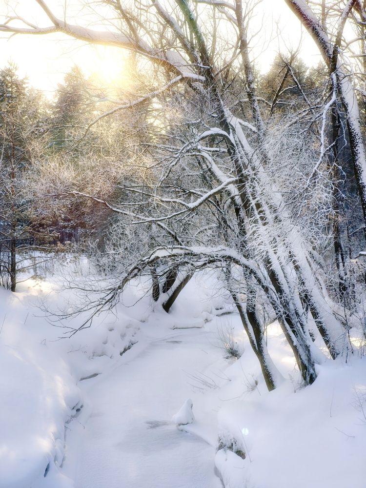 Photograph by Александр Лунин