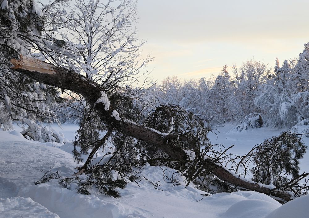 Photograph by Антонина Ахмадеева
