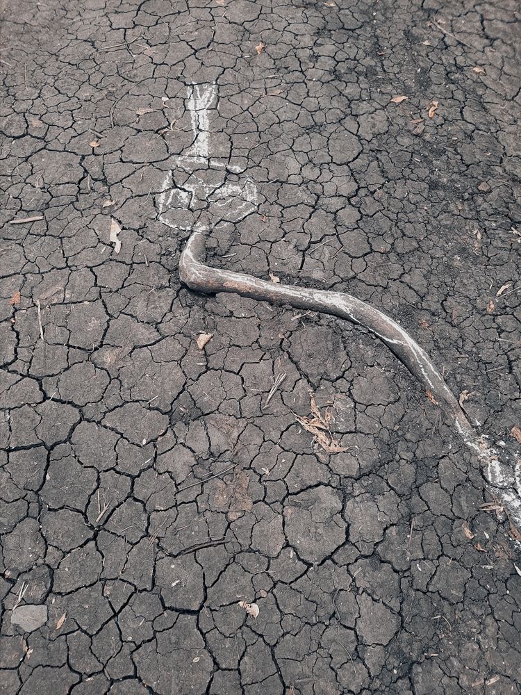 Photograph by OLGA MIKHNEVICH