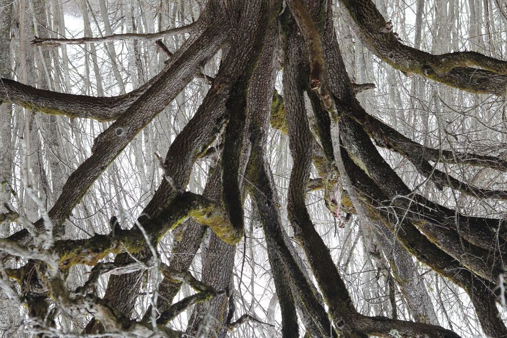 Photograph by Родосская Нонна