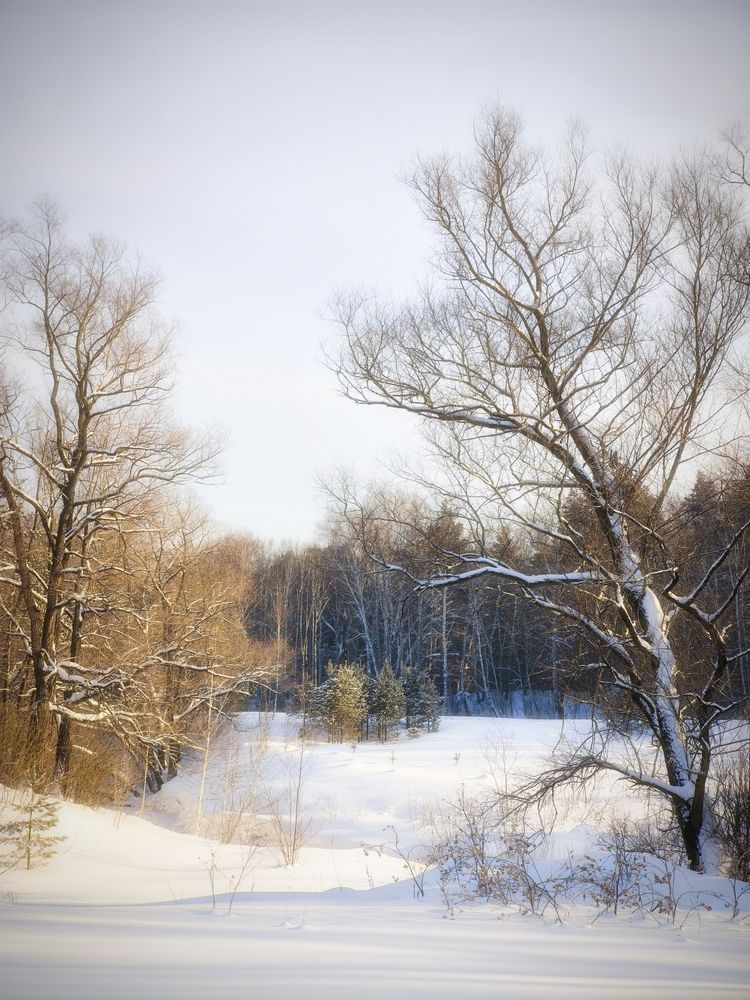 Photograph by Александр Лунин