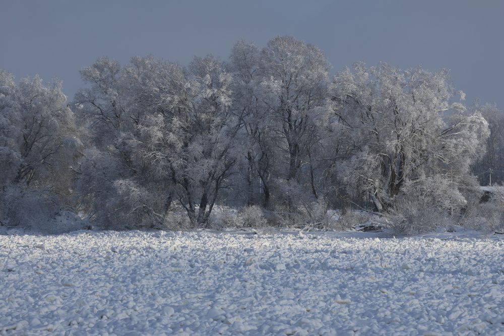 Photograph by Анна Чадова