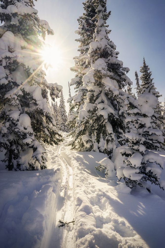 Фотография автора Татьяна Добровольская