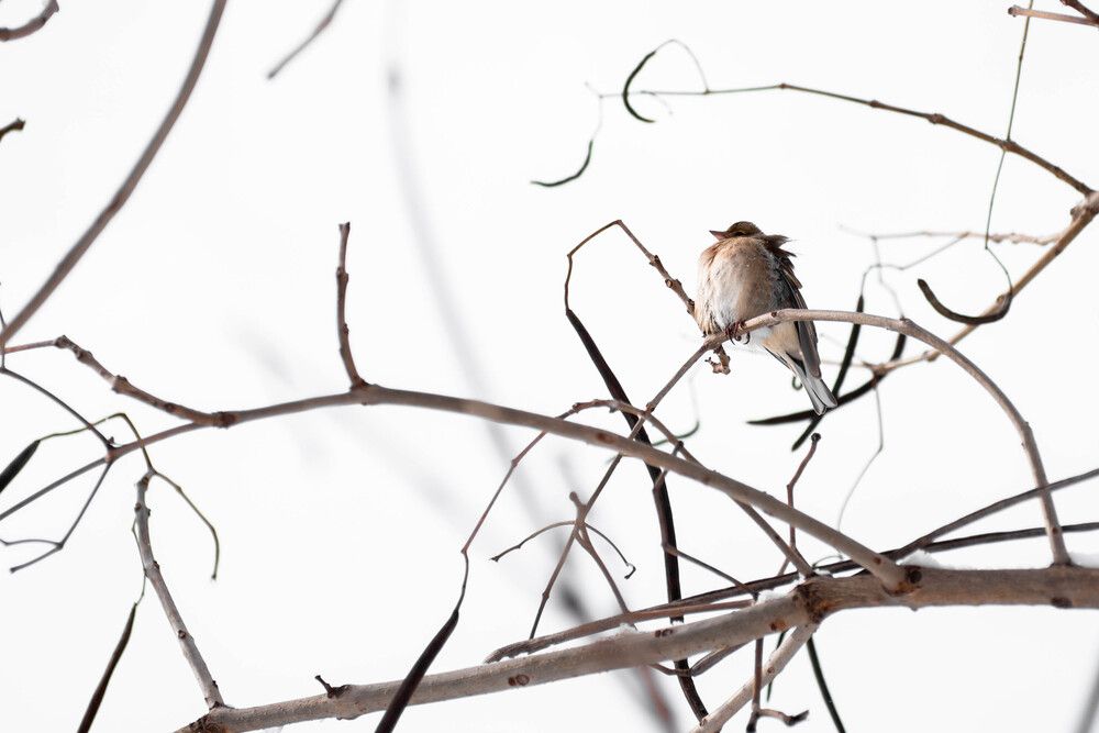 Photograph by Виктория Ткаченко