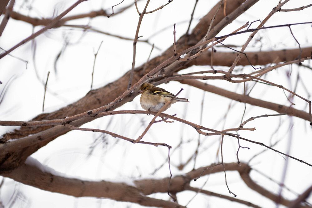 Photograph by Виктория Ткаченко