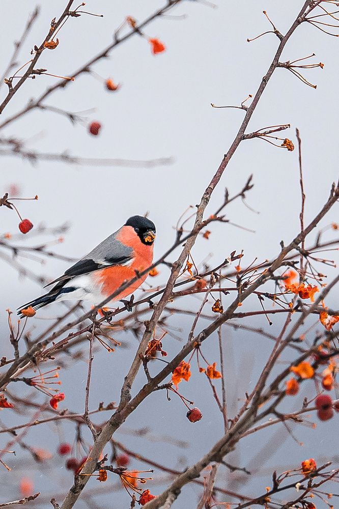 Photograph by Ильдар Валитов