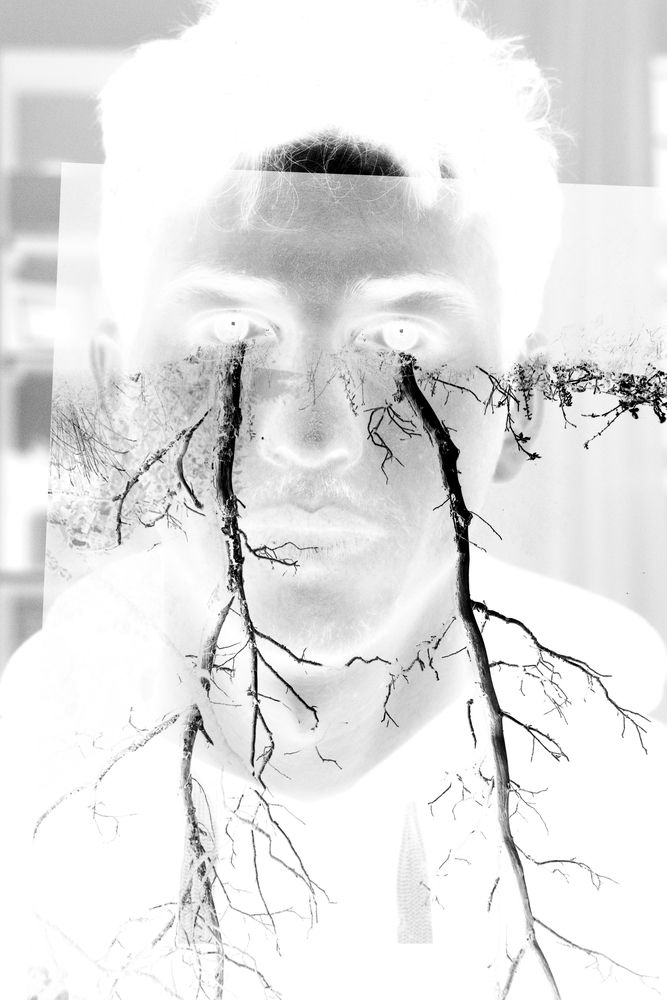 Photograph by Elliott Grieshofer