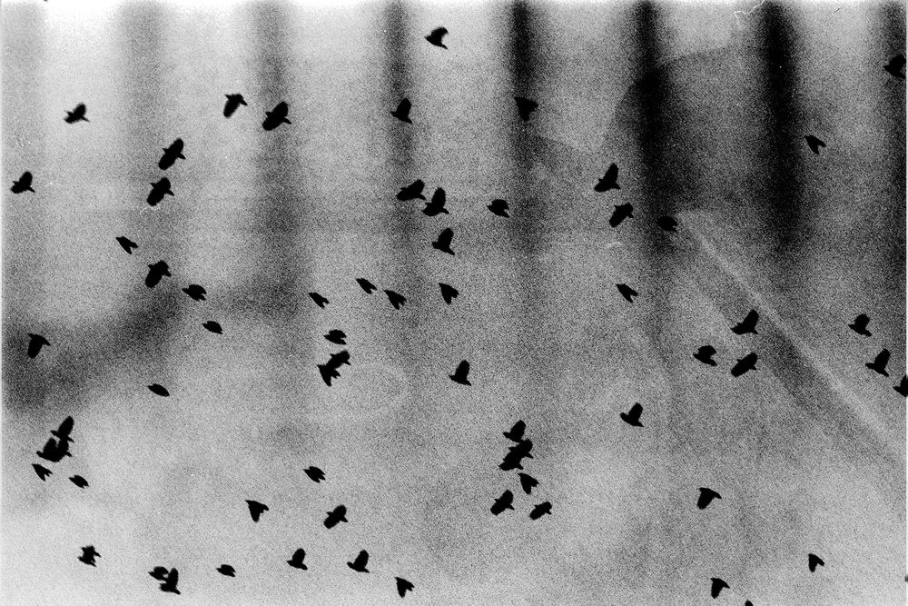 Photograph by Elliott Grieshofer