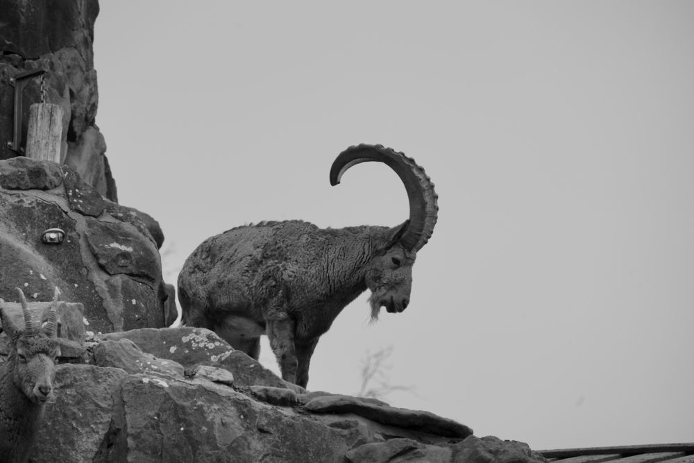Photograph by Sergej Roor