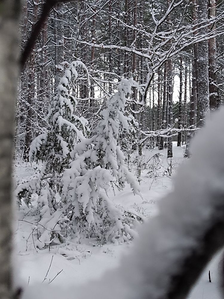Photograph by Ирина Семенович