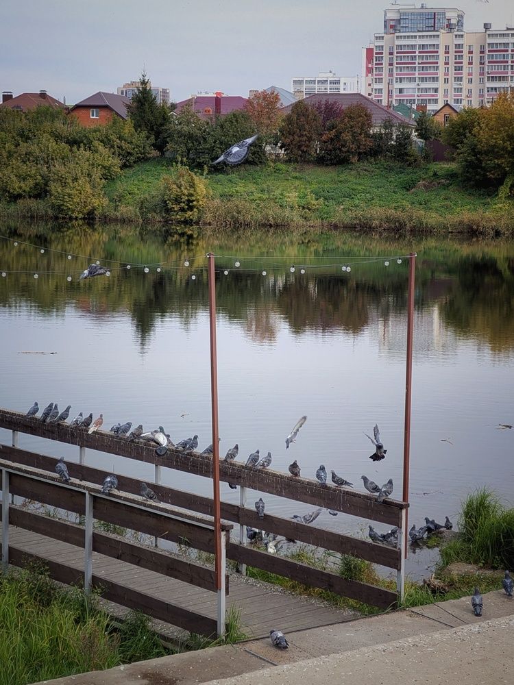 Photo #13102570