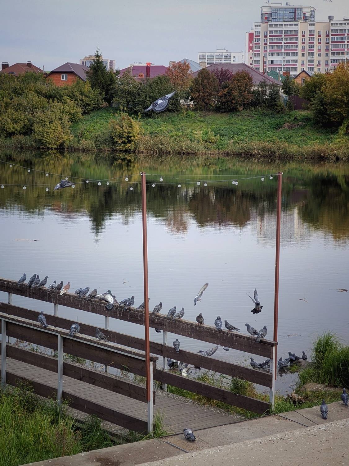Photo #13102570
