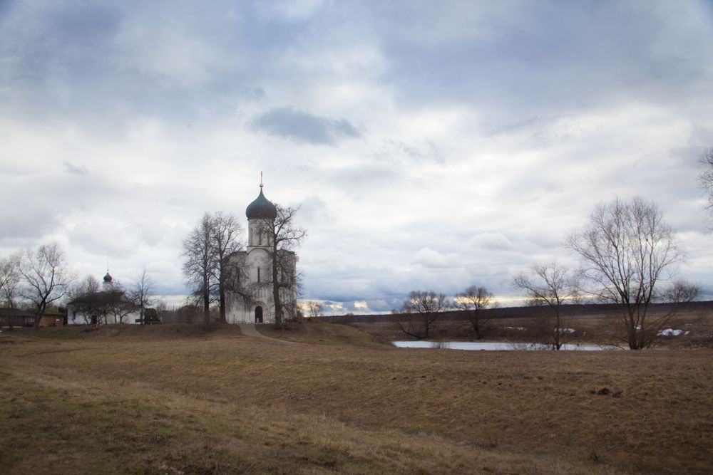 Photo #13102595