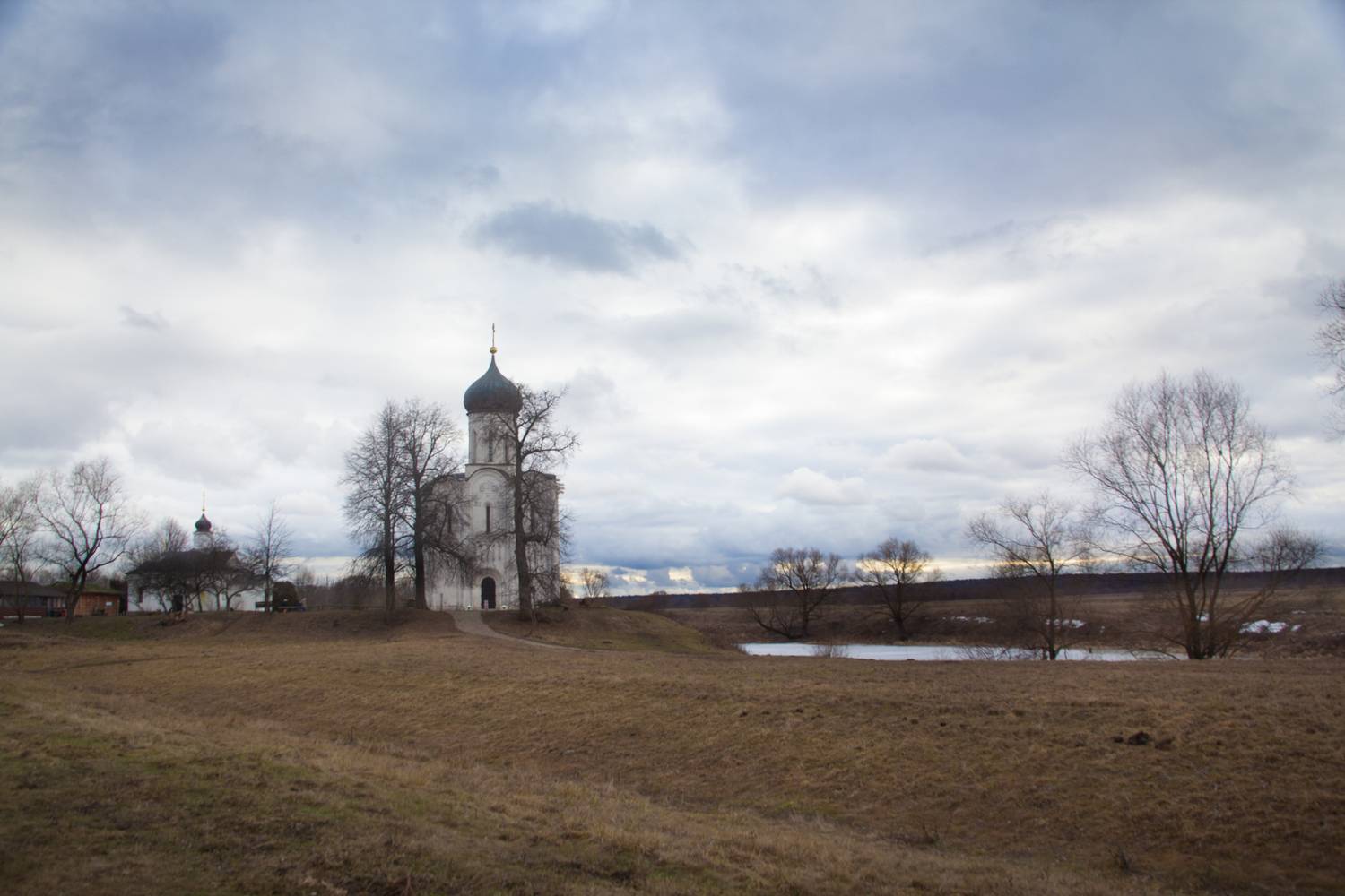 Photo #13102595