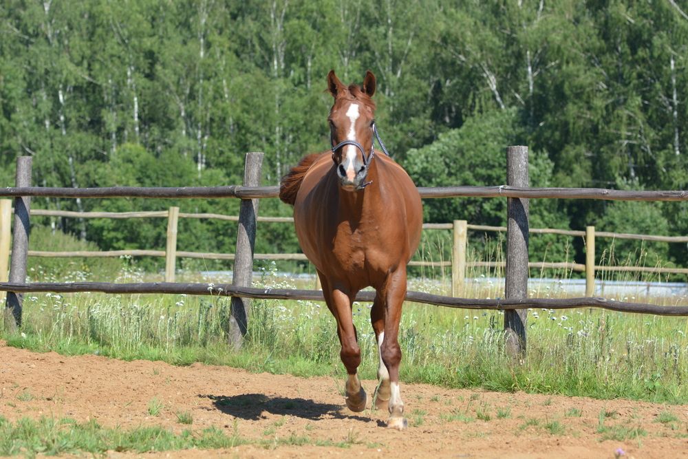 Photograph by Виктория Кос