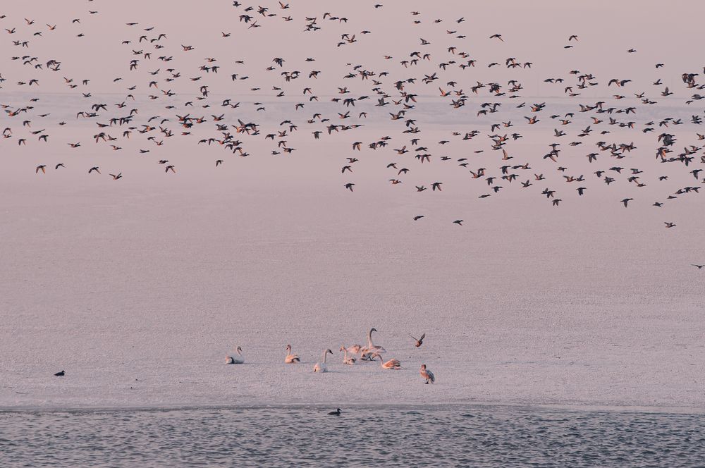 Фотография автора Сухенко Олег