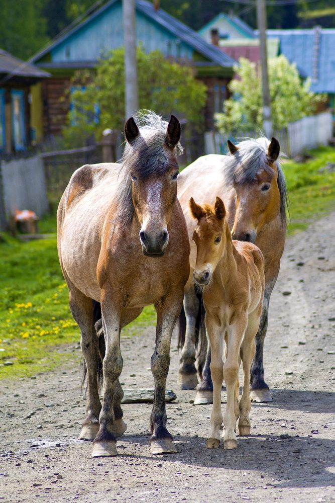 Photograph by Владимир Акиньшин