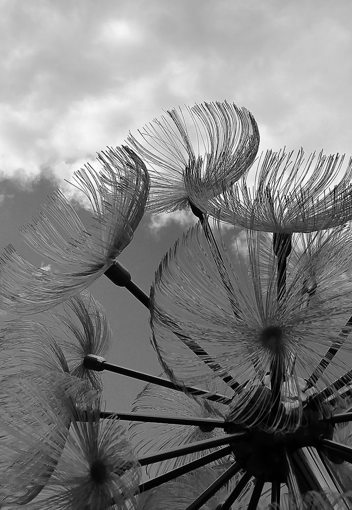 Photo #13102659