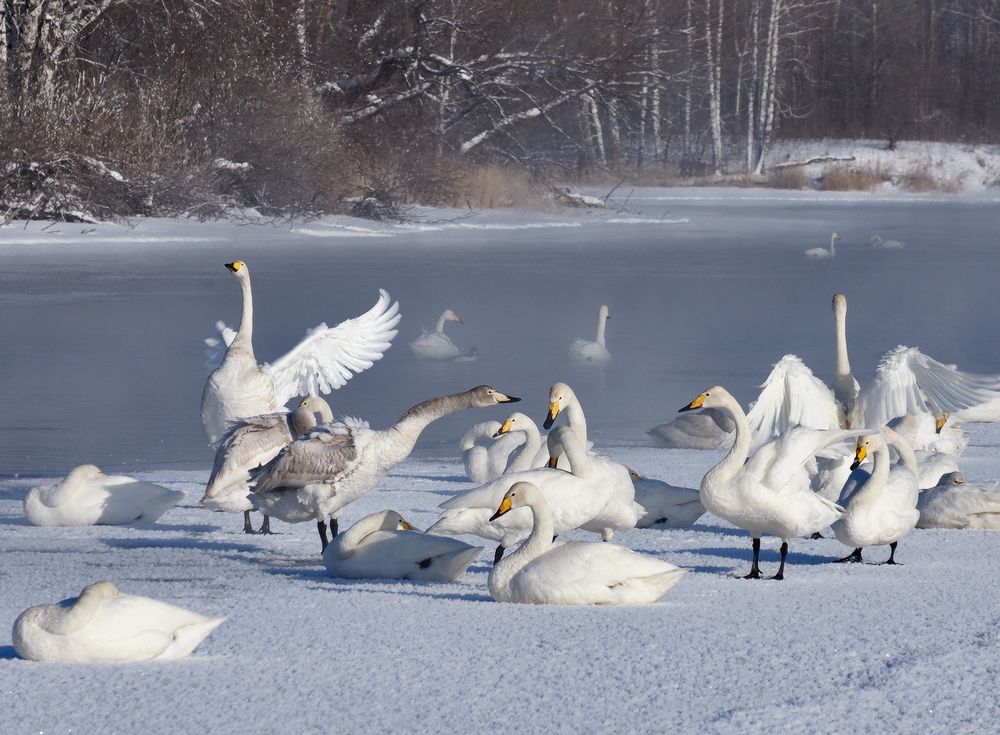 Photograph by Галина Хвостенко