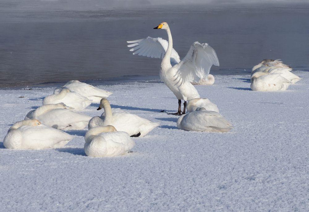 Photograph by Галина Хвостенко