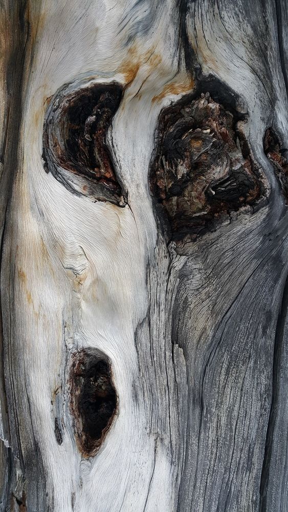 Photograph by Антон Селезнев