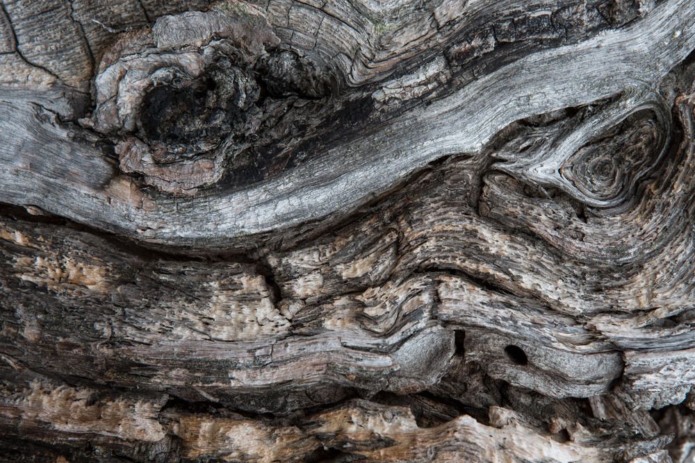 Photograph by Антон Селезнев