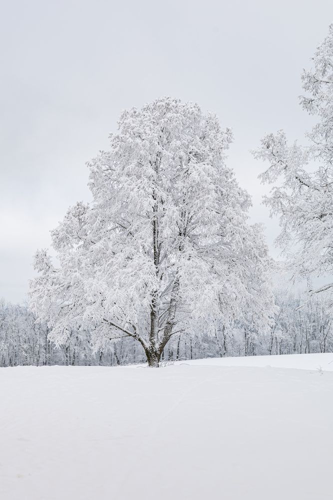 Фотография автора Ed Simon