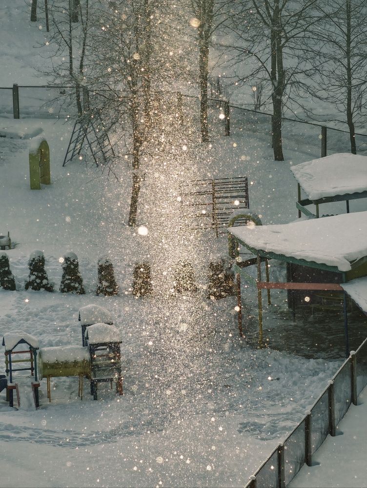 Photo #13102767